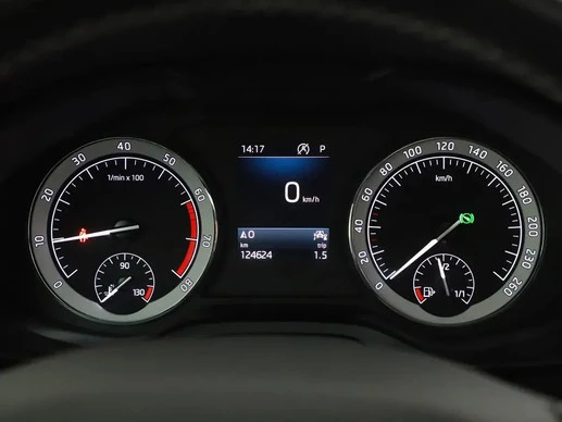 Škoda Kodiaq - Afbeelding 14 van 18