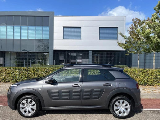 Citroën C4 Cactus - Afbeelding 9 van 14