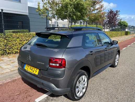 Citroën C4 Cactus - Afbeelding 13 van 14