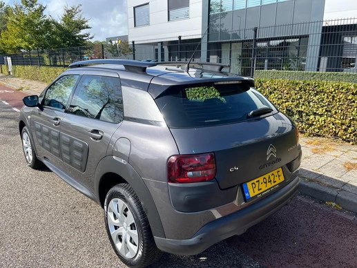 Citroën C4 Cactus - Afbeelding 14 van 14