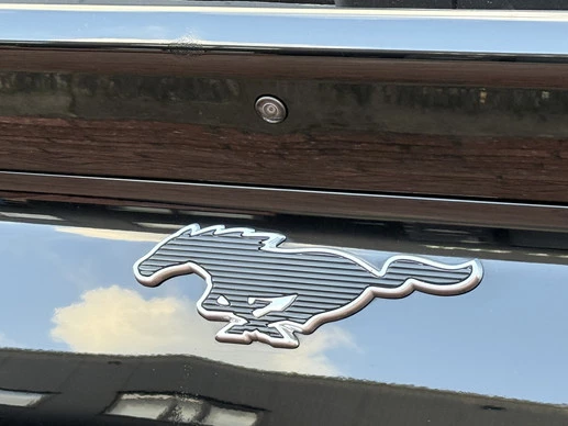 Ford Mustang Mach-E - Afbeelding 13 van 30