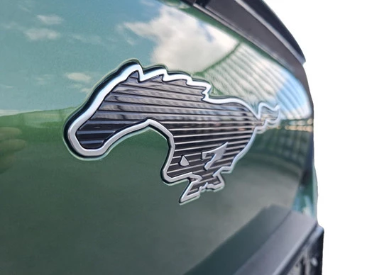 Ford Mustang Mach-E - Afbeelding 12 van 30