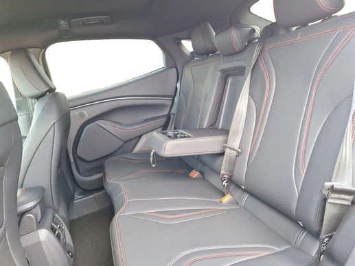 Ford Mustang Mach-E - Afbeelding 15 van 30