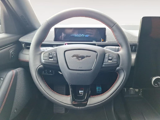 Ford Mustang Mach-E - Afbeelding 20 van 30