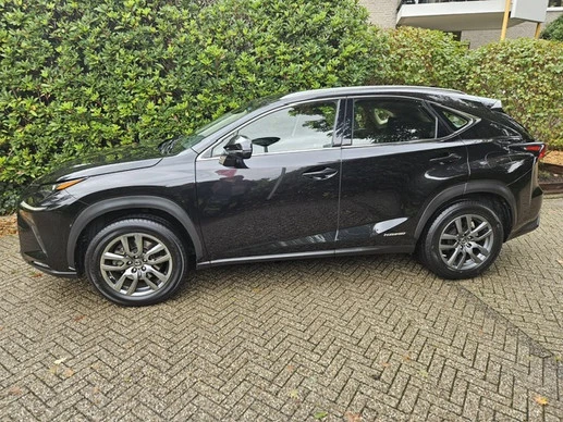 Lexus NX - Afbeelding 5 van 22