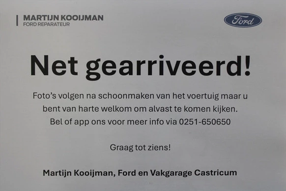 Ford Galaxy - Afbeelding 1 van 10