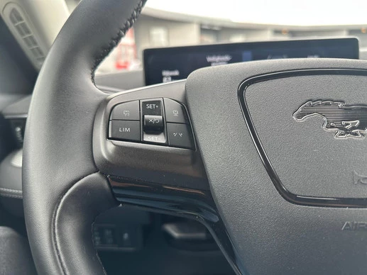 Ford Mustang Mach-E - Afbeelding 20 van 30