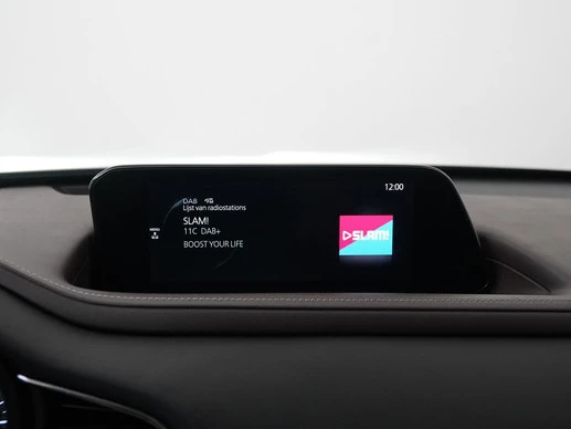 Mazda CX-30 - Afbeelding 15 van 30