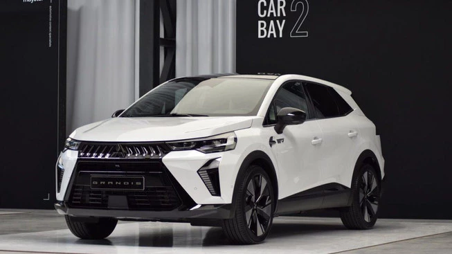 Mitsubishi Grandis - Afbeelding 3 van 10