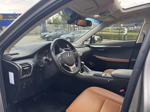 Lexus NX - Afbeelding 14 van 30
