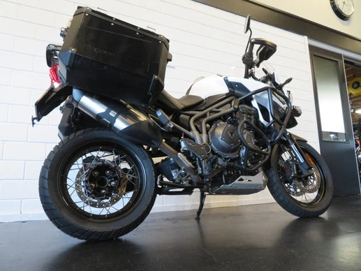 Triumph - Afbeelding 12 van 13