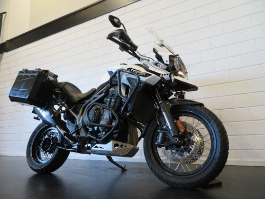 Triumph - Afbeelding 13 van 13