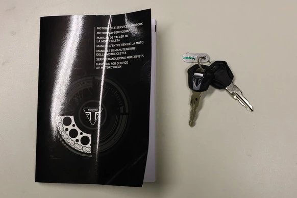 Triumph Trident 660 - Afbeelding 10 van 25