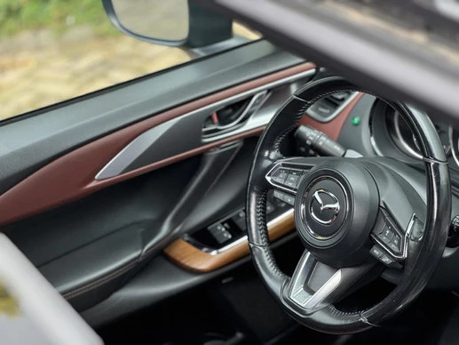 Mazda CX-9 - Afbeelding 9 van 30