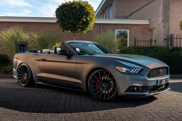 Ford Mustang - Afbeelding 1 van 24