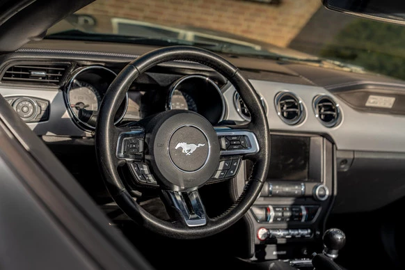 Ford Mustang - Afbeelding 13 van 24