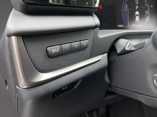 Lexus RZ - Afbeelding 14 van 30