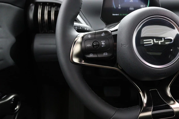 BYD ATTO 3 - Afbeelding 18 van 30