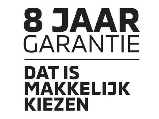 Mitsubishi Grandis - Afbeelding 12 van 14