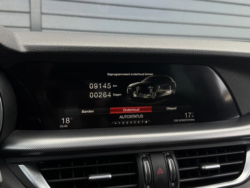 Alfa Romeo Stelvio - Afbeelding 25 van 30