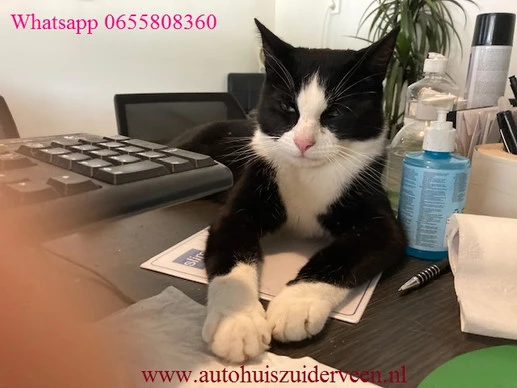 Volkswagen up! - Afbeelding 20 van 20