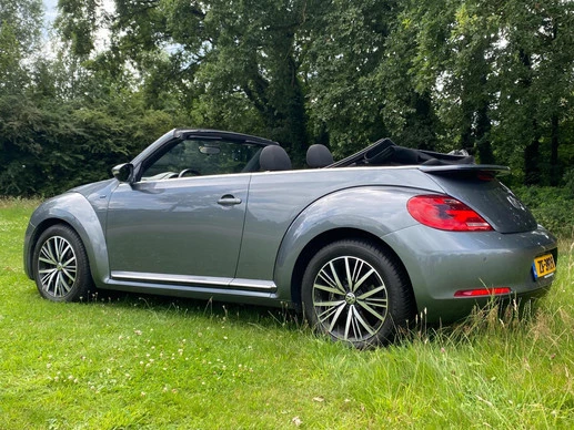 Volkswagen Beetle - Afbeelding 8 van 19