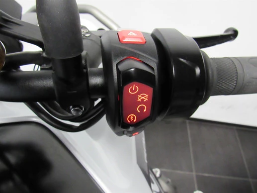 Triumph Tiger - Afbeelding 9 van 10