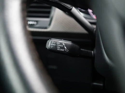 CUPRA Ateca - Afbeelding 14 van 30