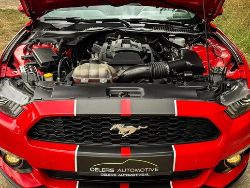 Ford Mustang - Afbeelding 27 van 28