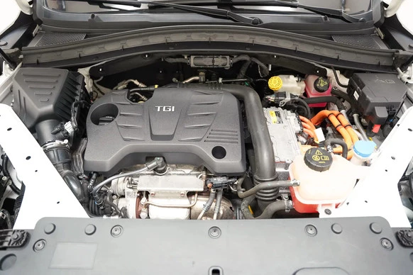 MG EHS - Afbeelding 28 van 30