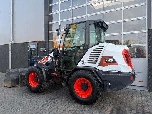 Bobcat  - Afbeelding 3 van 30