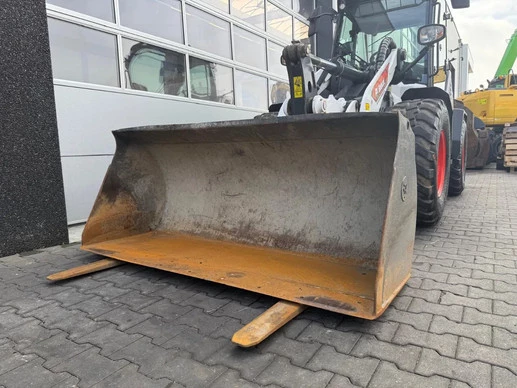 Bobcat  - Afbeelding 8 van 30