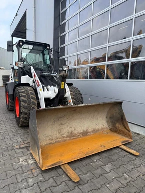 Bobcat  - Afbeelding 22 van 30