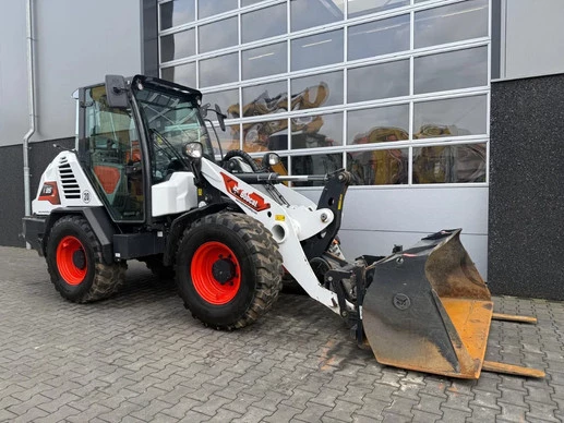 Bobcat  - Afbeelding 23 van 30