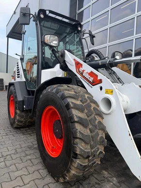 Bobcat  - Afbeelding 26 van 30