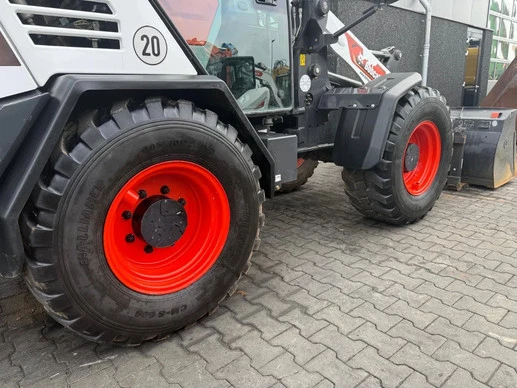 Bobcat  - Afbeelding 27 van 30