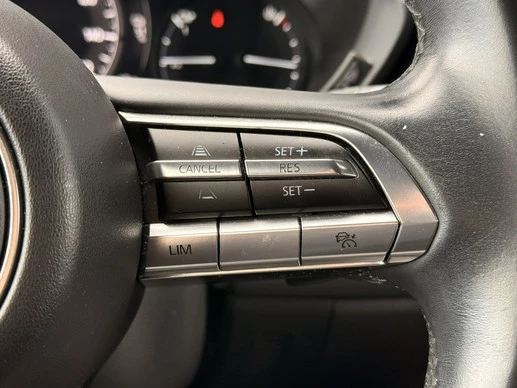 Mazda MX-30 - Afbeelding 10 van 22