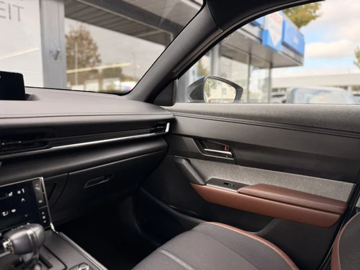 Mazda MX-30 - Afbeelding 22 van 22