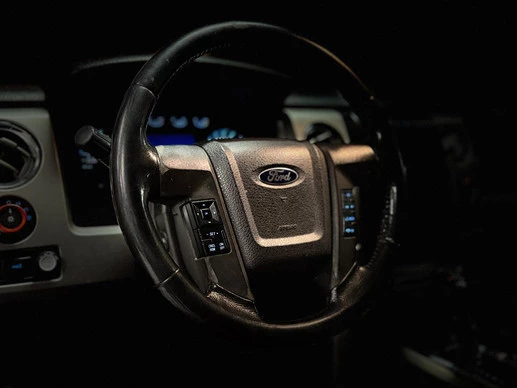 Ford F-150 - Afbeelding 10 van 30