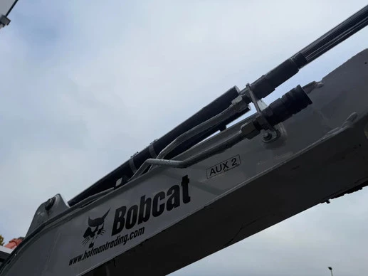 Bobcat  - Afbeelding 12 van 30