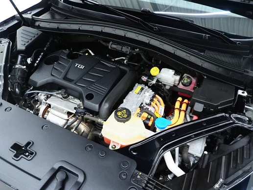 MG EHS - Afbeelding 4 van 30