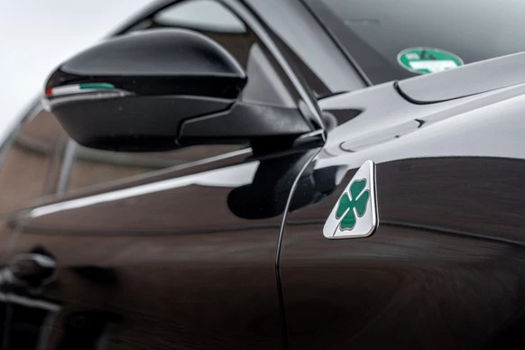 Alfa Romeo Stelvio - Afbeelding 29 van 30