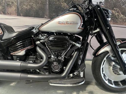 Harley-Davidson Fat Boy - Afbeelding 5 van 13