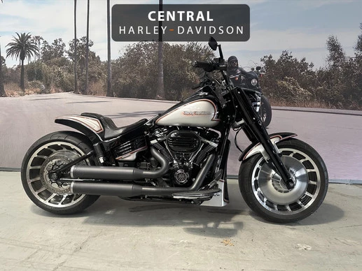 Harley-Davidson Fat Boy - Afbeelding 1 van 13