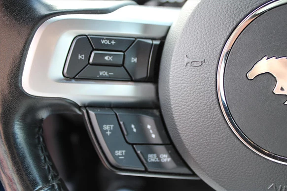 Ford Mustang - Afbeelding 10 van 30