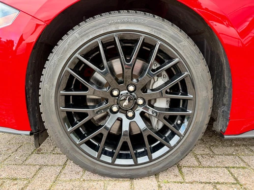 Ford Mustang - Afbeelding 9 van 23