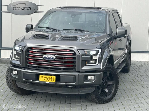 Ford F-150 - Afbeelding 1 van 21