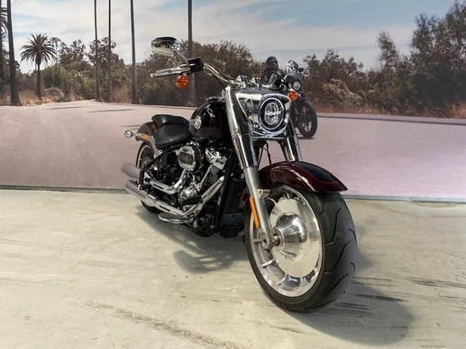 Harley-Davidson Fat Boy - Afbeelding 3 van 11