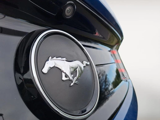 Ford Mustang - Afbeelding 9 van 30
