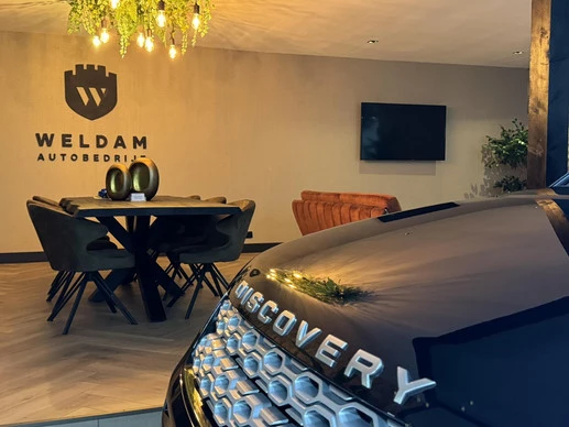 Land Rover Discovery Sport - Afbeelding 25 van 30